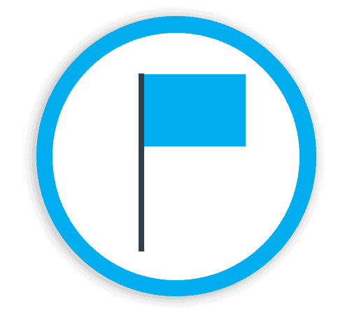 Blue Flag Icon