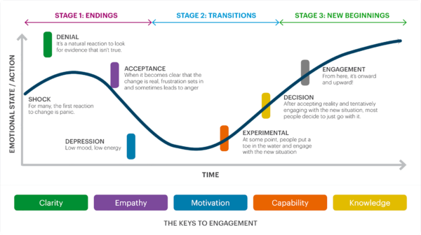 Technology Change Management Curve