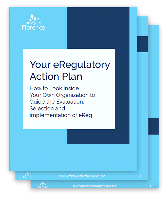 eRegulatory Action Plan File